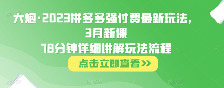 大炮·2023拼多多强付费zui新玩法，3月新课​78分钟详细讲解玩法流程插图