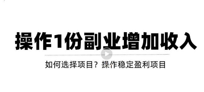 新手如何通过操作副业增加收入，从项目选择到玩法分享！【视频教程】插图