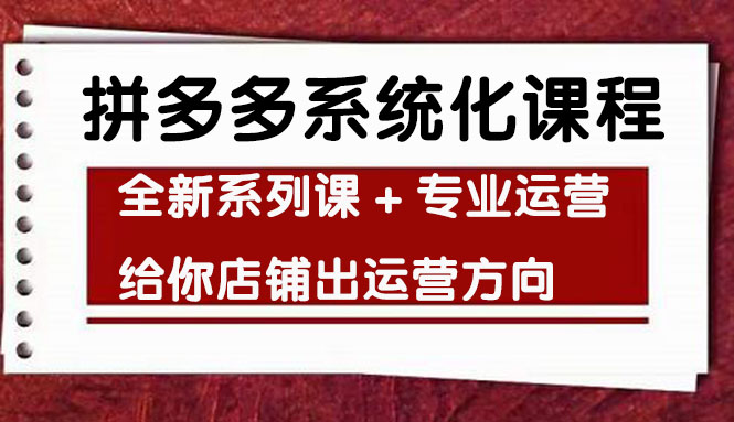 （4259期）车神陪跑，拼多多系统化课程，全新系列课+专业运营给你店铺出运营方向插图