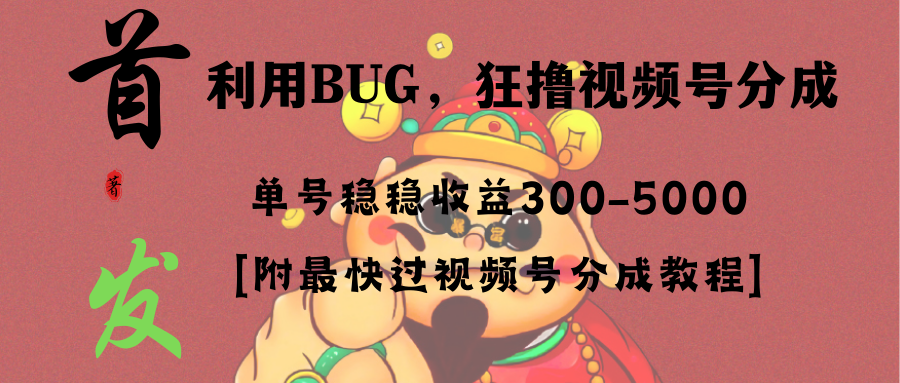 （8549期）全网独家首发，视频号BUG，超短期项目，单号每日净收益300-5000！插图