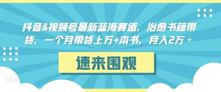 抖音&视频号zui新蓝海赛道，治愈书籍带货，一个月带货上万+本书，月入2万＋【揭秘】插图