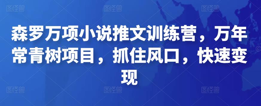 森罗万项小说推文训练营，万年常青树项目，抓住风口，快速变现插图