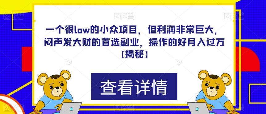 一个很low的小众项目，但利润非常巨大，闷声发大财的首选副业，操作的好月入过万【揭秘】插图