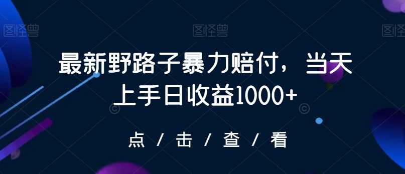 zui新野路子暴力赔付，当天上手日收益1000+【仅揭秘】插图