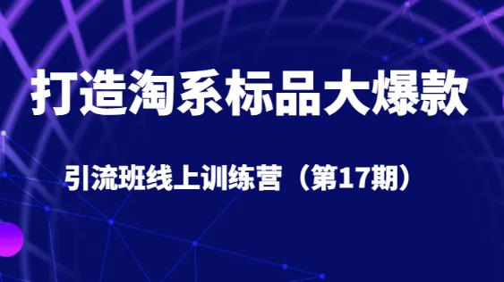 打造淘系标品大爆款引流班线上训练营（第17期）5天直播授课插图