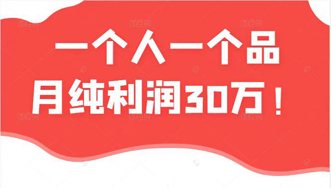 （2343期）某公众号付费文章：一个人一个品月纯利润30万的蓝海电商经典案例！插图