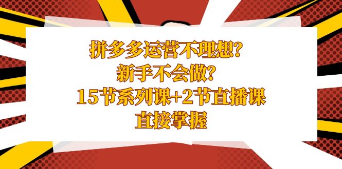 拼多多运营不理想？新手不会做？15节系列课+2节直播课学会直接掌握插图