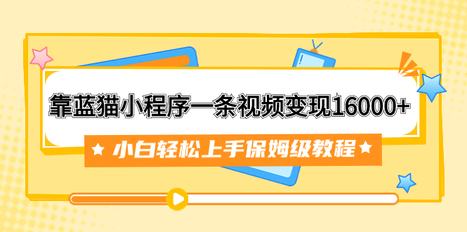 （7595期）靠蓝猫小程序一条视频变现16000+小白轻松上手保姆级教程（附166G资料素材）插图