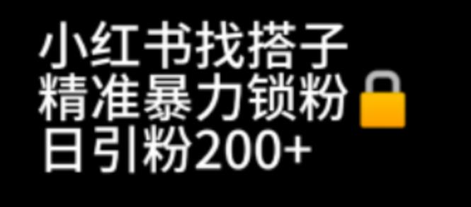 （6807期）小红书找搭子暴力精准锁粉+引流日引200+精准粉插图