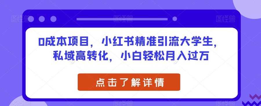 0成本项目，小红书精准引流大学生，私域高转化，小白轻松月入过万【揭秘】插图