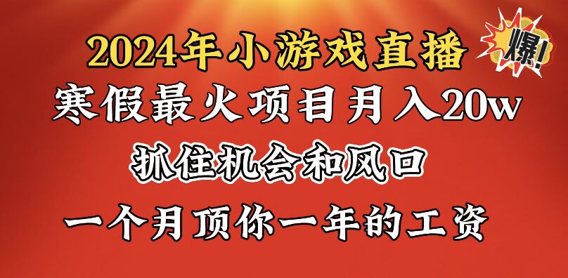 （8778期）2024年寒假爆火项目，小游戏直播月入20w+，学会了之后你将翻身插图