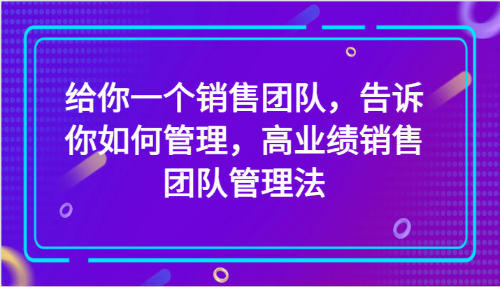 给你一个销售团队，告诉你如何管理，高业绩销售团队管理法（89节课）插图