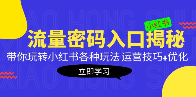 （5179期）小红书流量密码入口揭秘：带你玩转小红书各种玩法 运营技巧+优化！插图