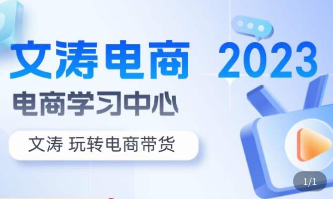 文涛电商·7天零基础自然流起号，​快速掌握店铺运营的核心玩法，突破自然展现量，玩转直播带货插图