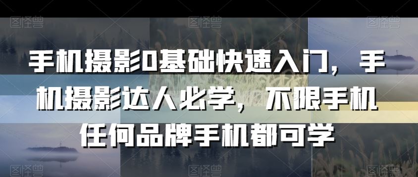 手机摄影0基础快速入门，手机摄影达人必学，不限手机任何品牌手机都可学插图