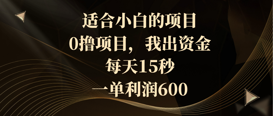 （8571期）适合小白的项目，0撸项目，我出资金，每天15秒，一单利润600插图