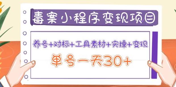 森罗万项毒案小程序变现项目：养号+对标+工具素材+实操+变现，单号一天30+插图