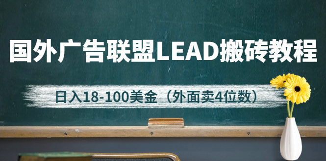 （2616期）外面卖4位数的国外广告联盟LEAD搬砖教程，日入18-100美金（教程+软件）插图