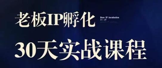 诸葛·2023老板IP实战课，实体同城引流获客，IP孵化必听插图