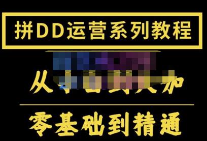 2022全套拼多多核心实操课程，从0-1轻松起链接实战，低投入高产出运作店铺插图