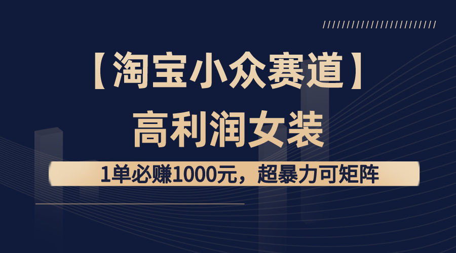 （8608期）【淘宝小众赛道】高利润女装：1单必赚1000元，超暴力可矩阵插图