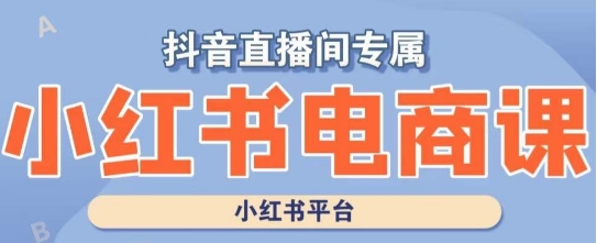 小红书电商高级运营课程，实操教学+案例分析插图