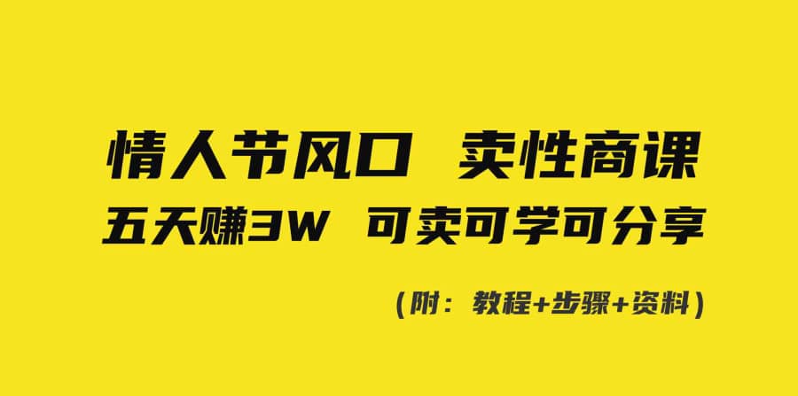 （8958期）情人节风口！卖性商课，小白五天赚3W，可卖可学可分享！插图