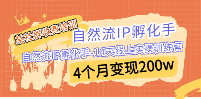 （6924期）某社群收费培训：自然流IP 孵化手-14天线上实操训练营 4个月变现200w插图