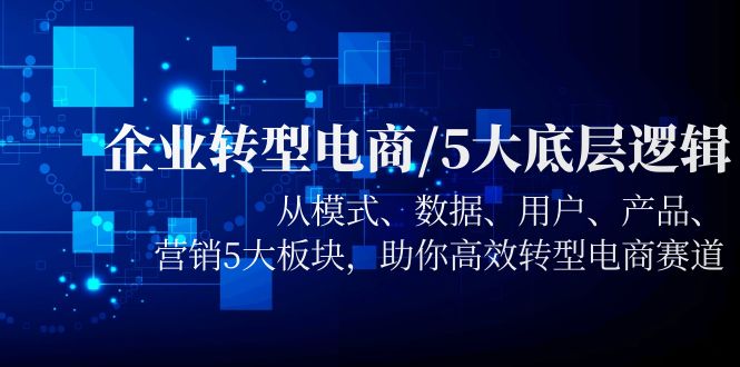 （5939期）企业转型电商/5大底层逻辑，从模式 数据 用户 产品 营销5大板块，高效转型插图