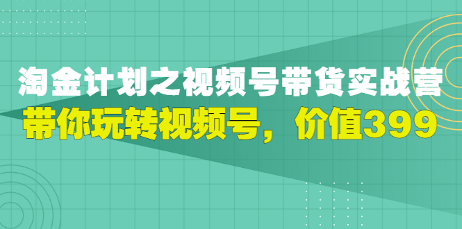 （2979期）视频号带货实战营，带你玩转视频号插图