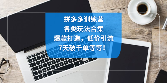 （4693期）拼多多训练营：各玩法合集，爆款打造，低价引流，7天破千单等等！插图