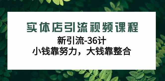 （9048期）实体店引流视频课程，新引流-36计，小钱靠努力，大钱靠整合（48节-无水印）插图