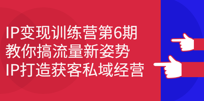 （2351期）IP变现训练营第6期：教你搞流量新姿势，IP打造获客私域经营插图