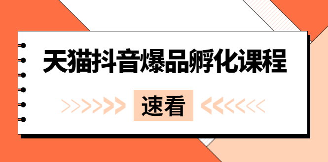 （2529期）《天猫抖音爆品孵化课程》独家绝密新品引爆法插图