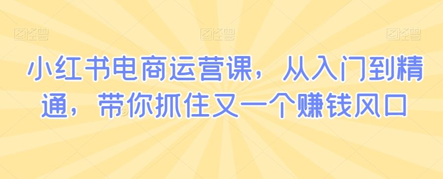 小红书电商运营课，从入门到精通，带你抓住又一个赚钱风口插图