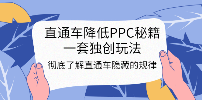 （3013期）直通车降低PPC秘籍，一套独创玩法：彻底了解直通车隐藏的规律插图