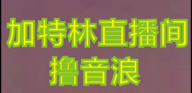 抖音加特林直播间搭建技术，抖音0粉开播，暴力撸音浪，2023新口子，每天800+【素材+详细教程】插图