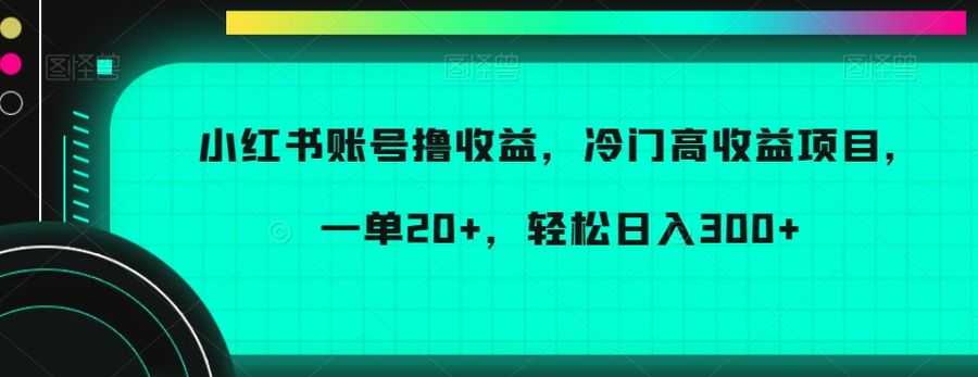 小红书账号撸收益，冷门高收益项目，一单20+，轻松日入300+【揭秘】插图