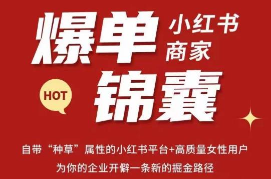 无畏·小红书商家爆单锦囊，掌握小红书各大规则，快速精准抢占行业和市场插图