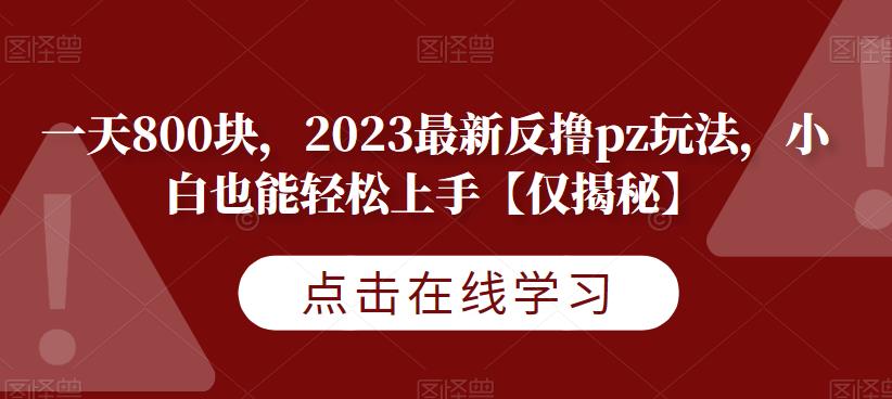 一天800块，2023zui新反撸pz玩法，小白也能轻松上手【仅揭秘】插图