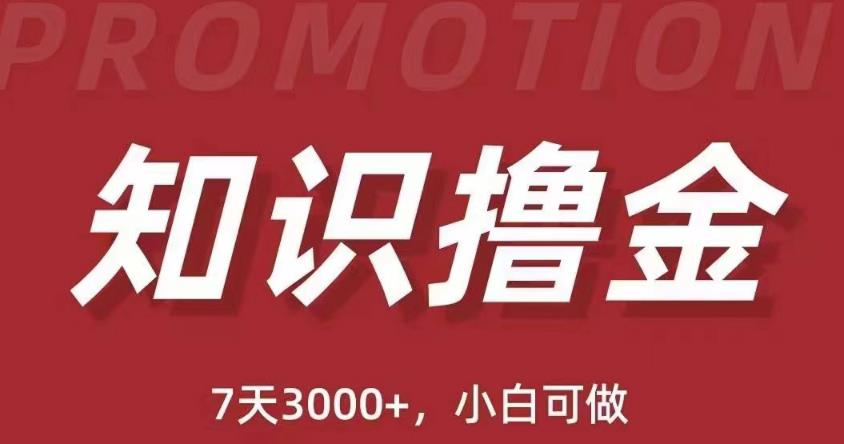 抖音知识撸金项目：简单粗暴日入1000+执行力强当天见收益(教程+资料)插图