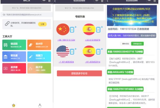 搭建微信去水印小程序，带流量主，支持全球验证码发放【源码+搭建教程】插图1