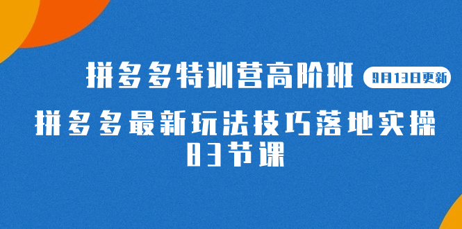 （7295期）2023拼多多·特训营高阶班【9月13日更新】拼多多zui新玩法技巧落地实操-83节插图