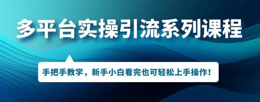 多平台引流实操系列课程，新手小白看完也可轻松上手进行引流操作插图