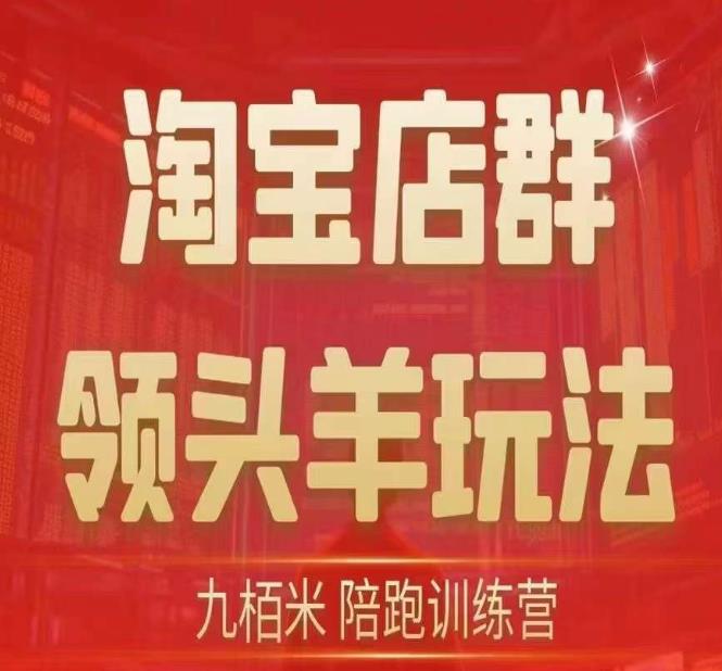 九栢米-淘宝店群领头羊玩法，教你整个淘宝店群领头羊玩法以及精细化/终极蓝海/尾销等内容插图