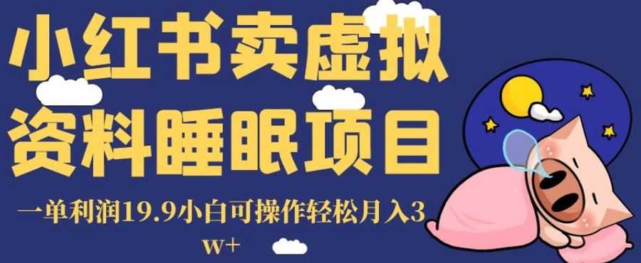 小红书卖虚拟资料睡眠项目，一单利润19.9小白可操作轻松月入3w+【揭秘】插图