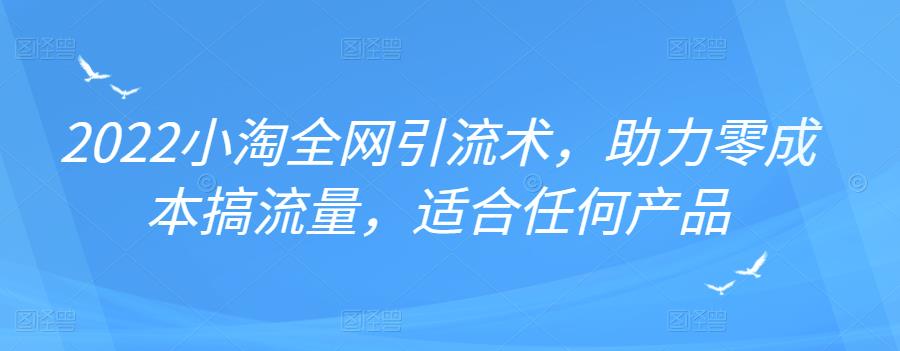 2022年小淘全网引流术，助力零成本搞流量，适合任何产品插图