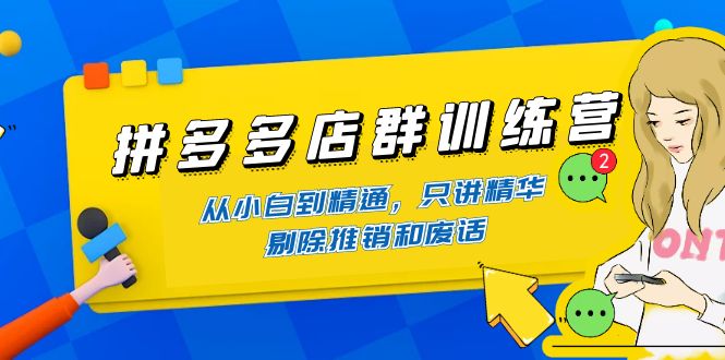 （4318期）拼多多店群训练营：从小白到精通，只讲精华，剔除推销和废话插图