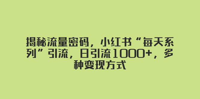 （8179期）揭秘流量密码，小红书“每天系列”引流，日引流1000+，多种变现方式插图