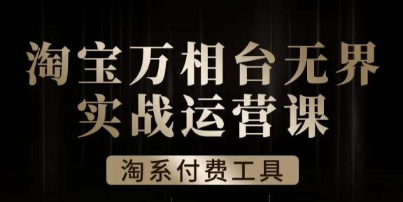 沧海·淘系万相台无界实战运营课，万相台无界实操全案例解析插图